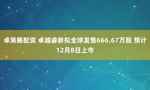 卓策略配资 卓越睿新拟全球发售666.67万股 预计12月8日上市