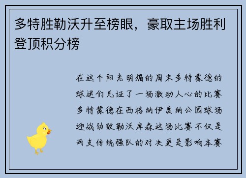 多特胜勒沃升至榜眼，豪取主场胜利登顶积分榜